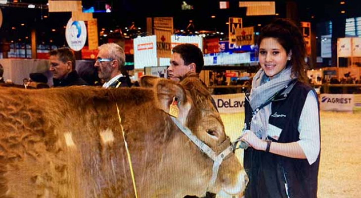 Salon de l’agriculture : L’amour vache !