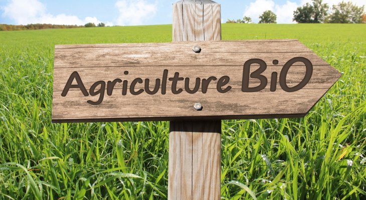 L'agriculture bio s'enracine en France (Dossier spécial bio)