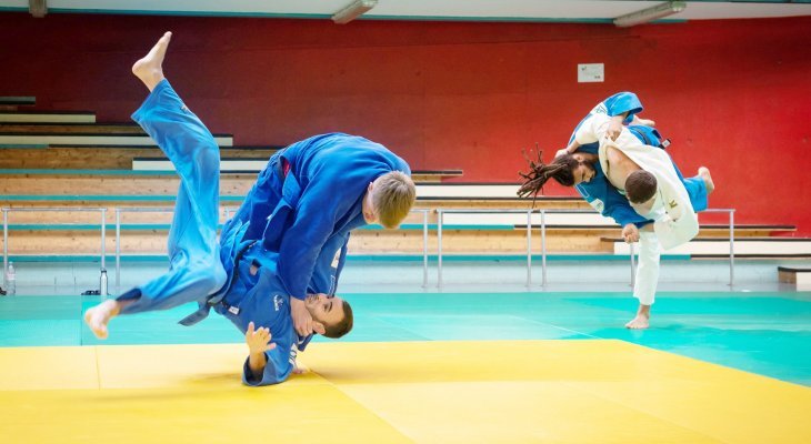 Entraînement de l'équipe de France paralympique de judo à Limoges