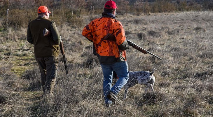 Un nouveau système d'information sur les armes est entré en vigueur