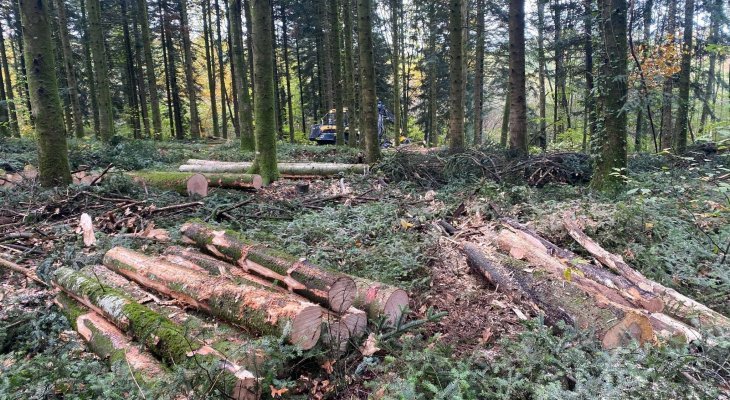 Travaux forestiers dans la forêt des Vaseix