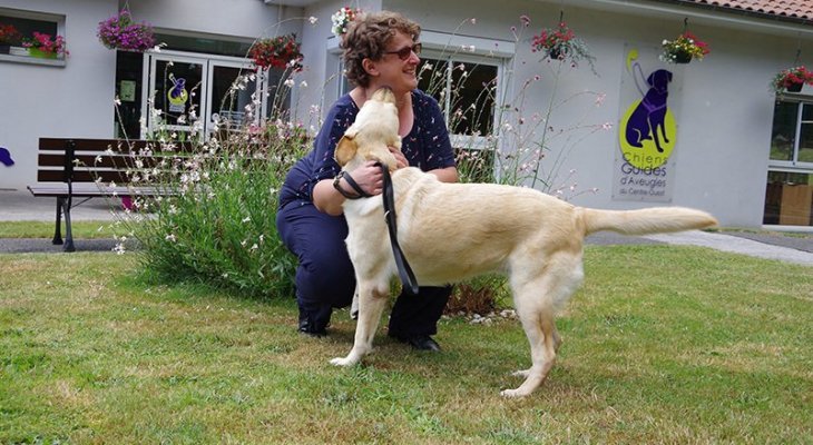 Les chiens guides d'aveugles à la fête !