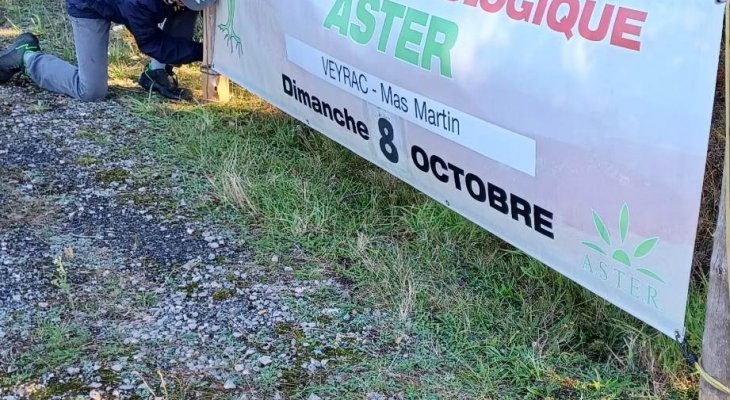 Marché bio « Aster » : deux conférences