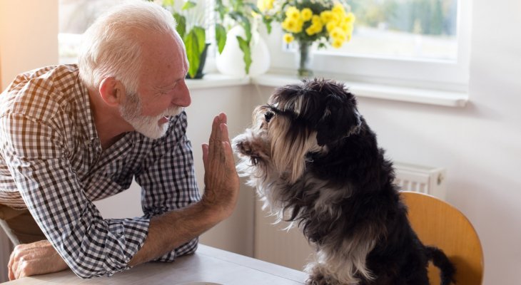 De la compagnie pour nos aînés (dossier spécial seniors)