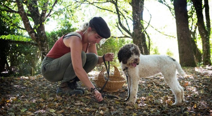 Le Salon des animaux et du bien-être animal dorénavant à Limoges