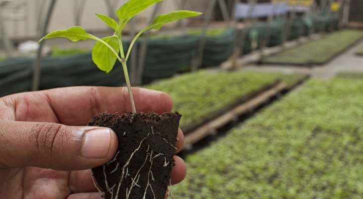 Produire bio, ça veut dire quoi ? (dossier spécial bio / environnement)