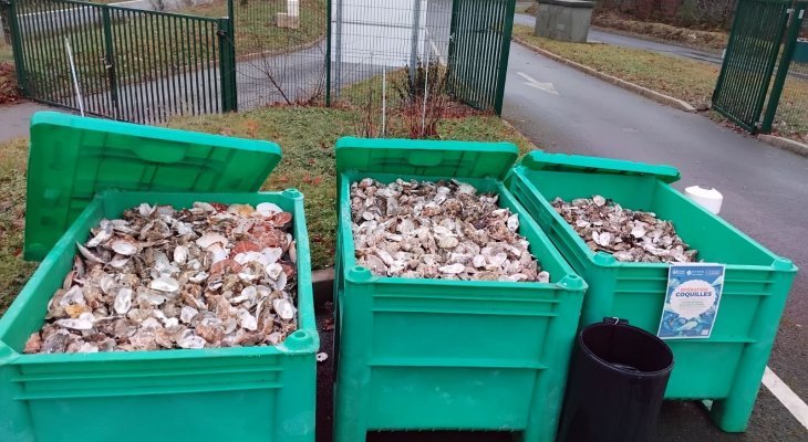 Près de 8 tonnes de coquilles valorisées