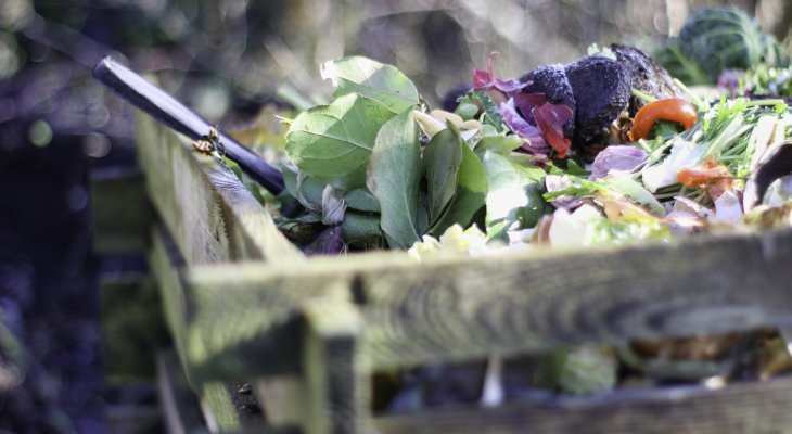 Un Village zéro déchet à la Bfm de Limoges
