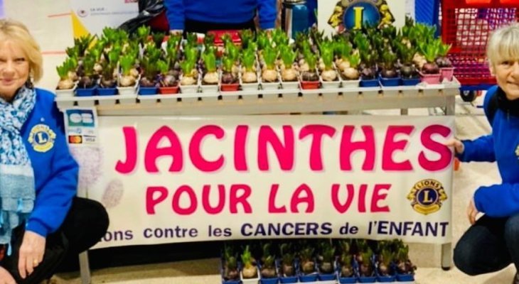Des jacinthes contre le cancer de l'enfant