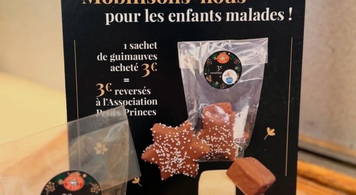 Les Compagnons du Goût mobilisés pour Petits Princes