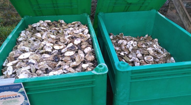 Rapporter ses coquilles 