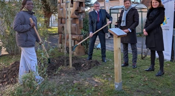 Un arbre pour la laïcité