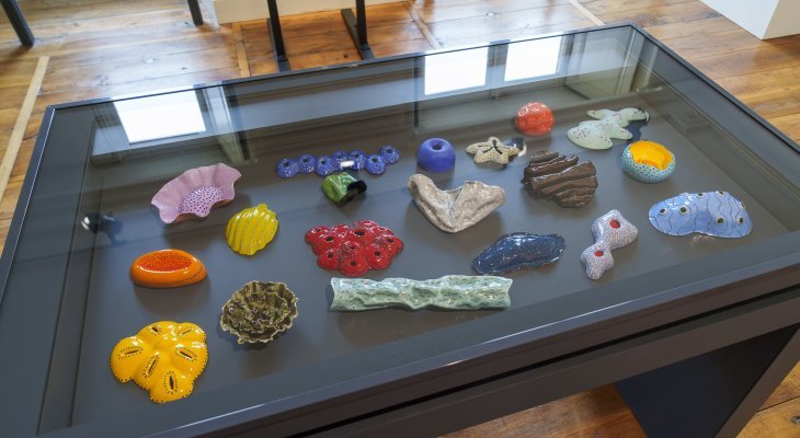 Six artistes croisent les feux