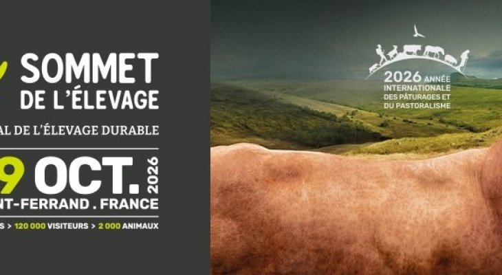 La limousine à l'honneur au sommet de l'élevage en Auvergne
