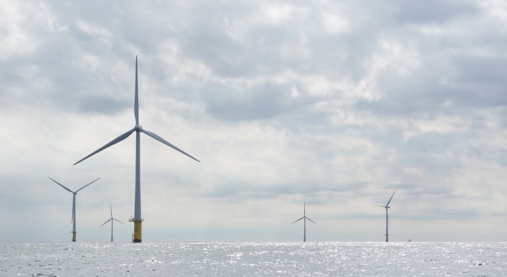 L'industrie verte résiste à la crise (Supplément bio / transition écologique)