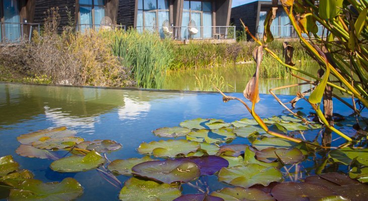 Le Futuroscope tend vers le zéro carbone (Supplément bio / transition écologique)
