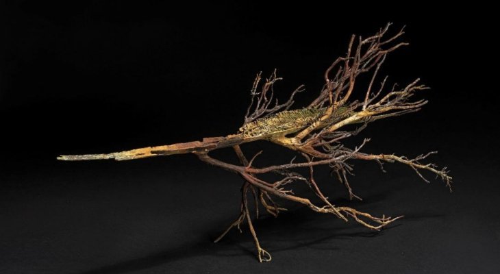 Des chemins à parcourir en silence