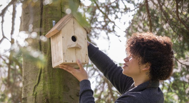 Aider la faune sauvage au jardin grâce aux bons accessoires (pages spéciales été)