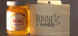 SCAL : cette offre promotionnelle, on y va dard dard !