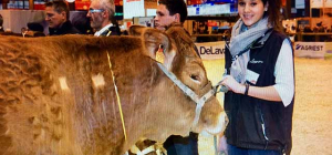 Salon de l’agriculture : L’amour vache !