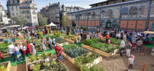 Alice au pays des merveilles… potagères !