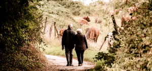 A 65 ans, les femmes vivent toujours plus longtemps que les hommes