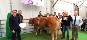 Une vertigineuse enchère à 22400€