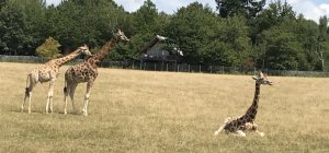 Des idées de sorties après le confinement