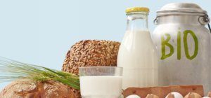 Notre dossier Consommer local : Quels aliments bio consommer en priorité ?