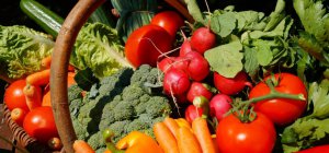 Concrètement, l'agriculture bio c'est...