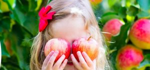 Les vergers s'ouvrent au public