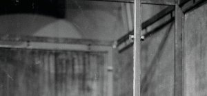 Sous le signe de la renaissance...