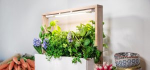 DOSSIER SPÉCIAL CONSOMMER LOCAL : La permaculture en intérieur en 7 points-clés