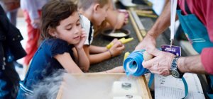 L'Homme et la Nature : amis ou ennemis ?