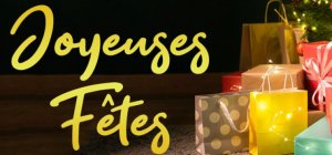 Joyeuses fêtes à tous !