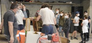 APIcité® : lune de miel à Saint-Junien