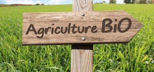 L'agriculture bio s'enracine en France (Dossier spécial bio)