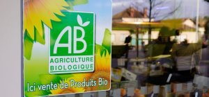 Crise sanitaire : quel impact sur les produits bio et leur consommation ? (Dossier spécial bio)