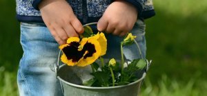 Vos mots d'amour à vos mamans