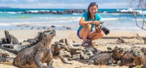 Écotourisme, les raisons d'un succès