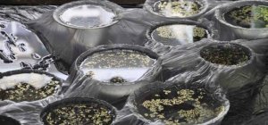 Des idées de sorties pour toutes les envies