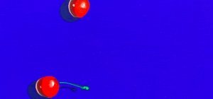 Deux expositions consacrées à Jacques Halbert