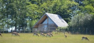 Insolite, vous avez dit insolite...