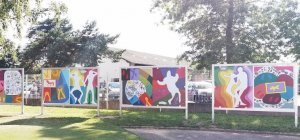 Brise-vue à Panazol : Il en a fallu...