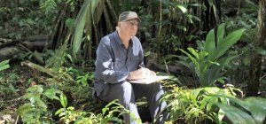 Horizon Vert : Festival d'écologie 