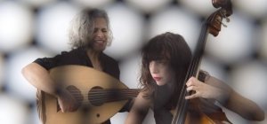 Zébrures d'automne : le monde francophone s'ouvre à Limoges