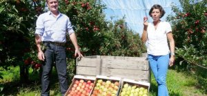Pommes raisonnées pour croqueurs locavores