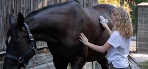 Alternance et apprentissage à la MFR-CFA de Beynac