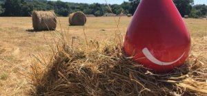 Mon sang pour les autres les 9 et 10 février