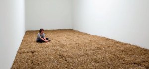 Deux nouvelles expositions au musée de Rochechouart